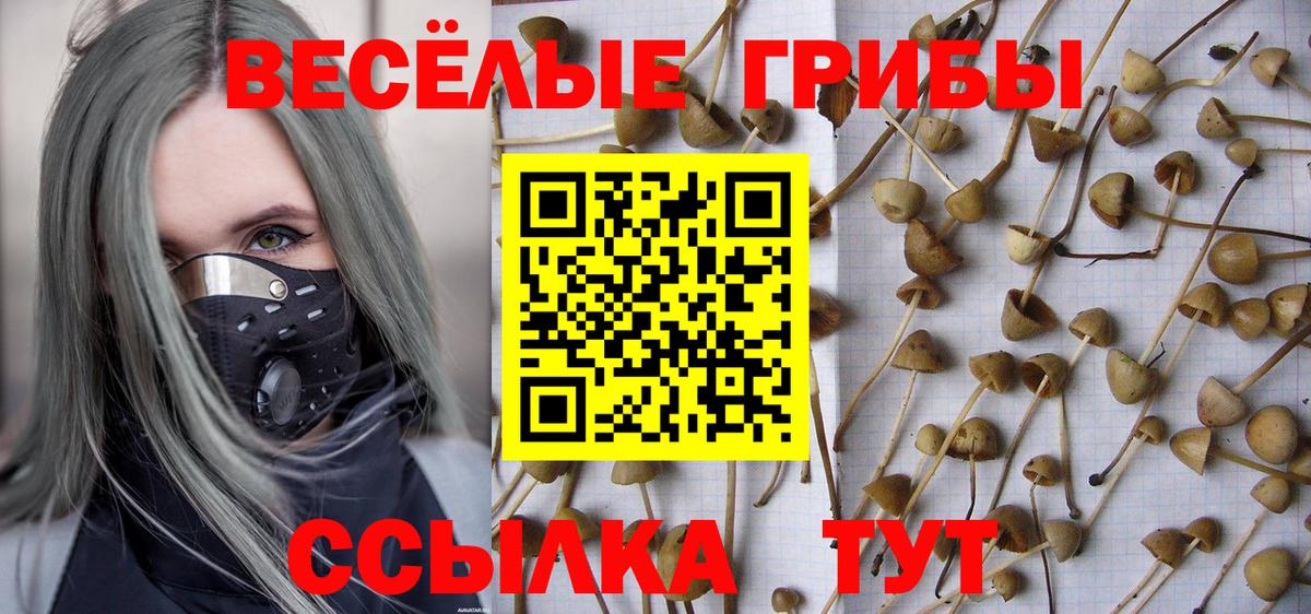 Псилоцибиновые грибы GOLDEN TEACHER Ачхой-Мартан